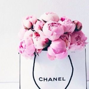 Meet your Posher, Isabella